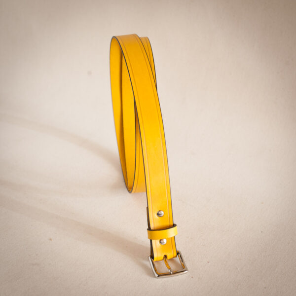 ceinture couleur